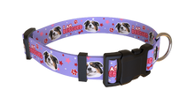 Load image into Gallery viewer, Rescued Collar
