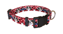 Load image into Gallery viewer, Adopted Collar
