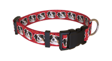 Load image into Gallery viewer, Stars Collar
